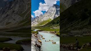 UTTRAKHAND के खूबसूरत बुग्याल #birthifall  #kumauniculture  #viral  #viral_video #vlog