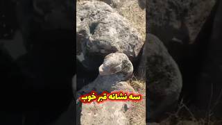 سه نشانه قبر گنج دار