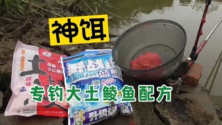 钓大土鲮鱼饵料搭配秘方，水面再大的河流，鱼也会排成队来抢吃