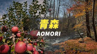 The impression of Aomori - Japan maples, snow season, apples AOMORI VLOG 2024