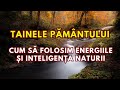 Tainele Pământului. Cum să folosim energiile și inteligența naturii...