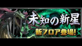 【パズドラ】永刻の万龍マルチ