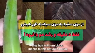 از موی سفید به موی سیاه به طور طبیعی، فقط ۵ دقیقه و رشد مو با قهوه ! #رنگ #پنهانکردنسفیدی#موی_سفید