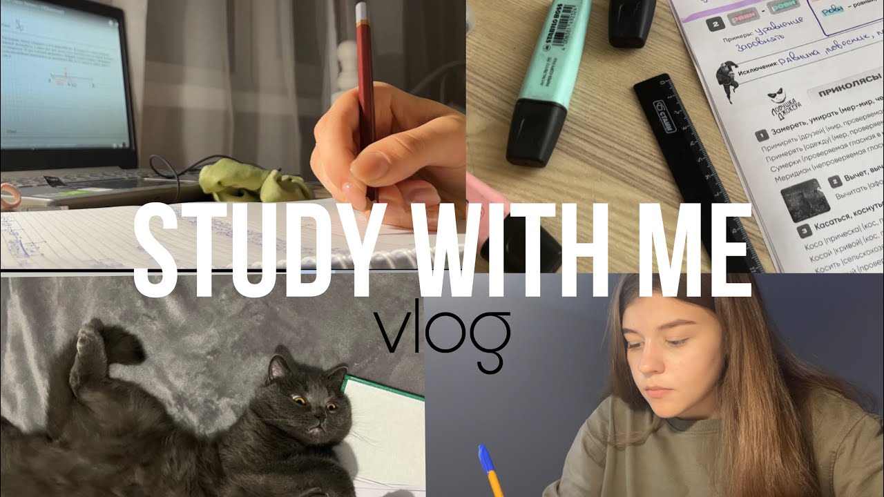 STUDY WITH ME Vlog 🍂|| учись со мной| попытки сдать все дедлайны ...