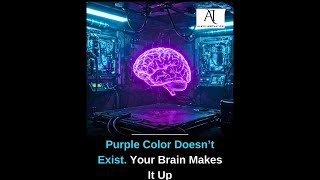 Purple Doesn’t Exist?! The Color Your Brain Made Up!