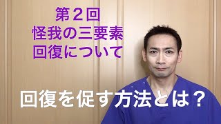 【プロ野球個人トレーナーがコンディショニングについてお話します】怪我の三要素　回復について