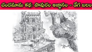 అవతలి వారి కన్నా మన బలం తక్కువ అని తెలిసి కూడా, ఆడవారి మెప్పు కోసం ప్రగల్భాలు పలికితే వచ్చేది చావే.!