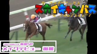 2023/06/10【パドック返し馬つき】函館5R　メイクデビュー函館　☆スカイキャンバス　ファインニードル　　＃レースは10分ころから