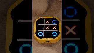 Playing Digital Tic-Tac-Toe with My Dog #dog #shorts #tictactoe