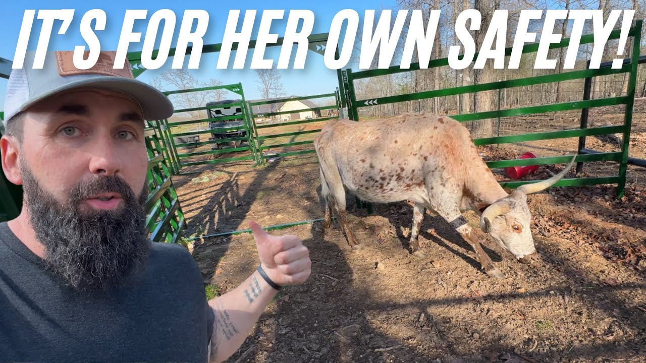 This Changed Everything Youtube