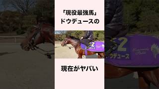 【 競馬 】ドウデュースの雑学⑦ 【 競馬の雑学 】【 ウマ娘 】 #競馬 #雑学 #ドウデュース #ウマ娘 #shorts