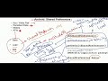 shared preference android basics