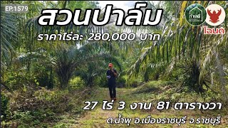 EP.1579 ที่ดินพร้อมสวนปาล์ม บ่อน้ำ ,โรงเรือนเก็บผลผลิต ทำเลการเกษตร เขตอ.เมืองราชบุรี จ.ราชบุรี