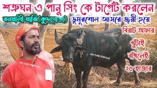 শত্রুঘন ও পানু সিং এর সাথে বনমালী মাঝি (কুদাগাড়া) লাগাতে রাজি♨️খুঁটাই বাঁধলেই বিরাট অফার