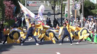 朝霞いぶき　2019 北朝霞おやちゃい村収穫祭