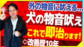 【吠え】犬が外の物音に吠えた時の対処法！愛犬の物音吠え問題を即攻略！【プロドッグトレーナー】