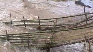 Wandering Gaia visits a bamboo fish trap