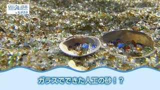 KTNヨジマル！ガラスの砂浜 日本財団 海と日本PROJECT in ながさき 2018 #25