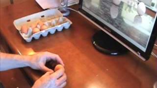 How to Stand an Egg on End