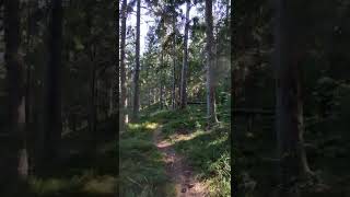 2022.08.14-5 - Smarde. Trail