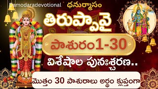 Thiruppavai 30pashurams meaning in Telugu | తిరుప్పావై మొత్తం క్లుప్తంగా| summary of Thiruppavai |