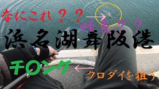 真冬の浜名湖でチ〇ング！！？？見たことない魚釣れたよ(;^_^A