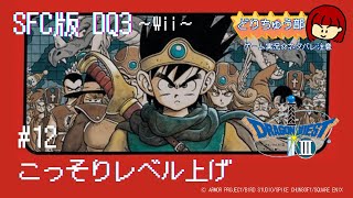 【スーパーファミコン版 ドラクエ3】#12 こっそりレベル上げ【Wii版】※ネタバレあり