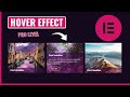 Card Hover Effect Like a Pro | WordPress Elementor Pro Tutorial