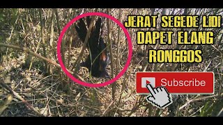 Channel Samber Gluduk