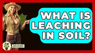 What Is Leaching In Soil? - The Plant Enthusiast