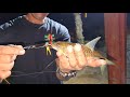 SIGHT CASTING INTO A SMALL ROCK POOL - MY FIRST MAHSEER !! FISHING IN SRI LANKA