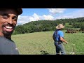 the best way to raise cows that i have ever seen mob grazing at polyface farm