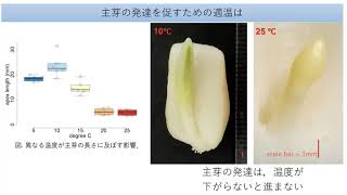 【研究紹介】勝川健三〔産業創成科学専攻〕　～弘前大学大学院　地域共創科学研究科～