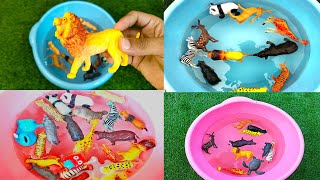 Learn Animals And Toys | Zoo Animal Toys Getting Washed | Zaibies Toys