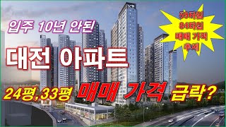 대전 신축 아파트(입주 10년 안된) 24평,33평 매매 가격 급락? + 월별 매매 건수 + 대전 아파트 + 대전 부동산