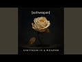 Soft Collapse // Hard Bloom
