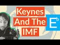 Was The IMF Actually A Left-Wing Organisation? | Econoboi