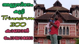 അല്ലൂസിനേം കൂട്ടി ആന മയിൽ ഒട്ടകം |#alluz |