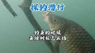 探钓潜行北盘江，户外气温2度，分享今天鱼缠桩的经历大家切记哦