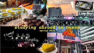 quiet and LUCKY days in busan, korea 🇰🇷 (uni fest: watch Gummy! cafe hopping, sports day)