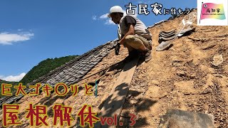 【半壊した古民家に住もう#32】ゴキブリに襲われつつ屋根解体。vol.3