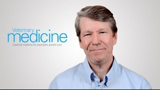The longest wellness exam in veterinary history