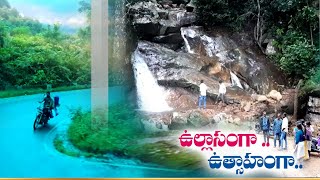 Green Welcome from Paderu Ghat Road | Visitors Drenched in Awesome Scenarios | All Along 35 Km Road