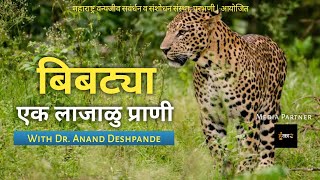 बिबट्या : एक लाजाळु प्राणी | WITH DR. ANAND DESHPANDE | DAY 03 | वन्यजीव सप्ताह ०१ ते ०७ ऑक्टो. २०२०