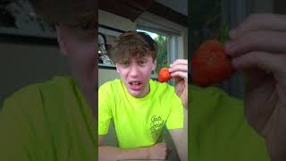 BUGS IN STRAWBERRIES EXPERIMENT! #shorts