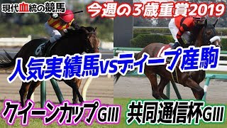 【競馬予想】クイーンカップ＆共同通信杯2019 事前予想動画｜今年は人気実績馬vsディープインパクト産駒の構図！