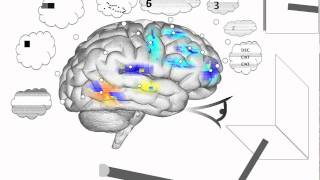 Spaun - Several cognitive and non cognitive tasks (with decoding)