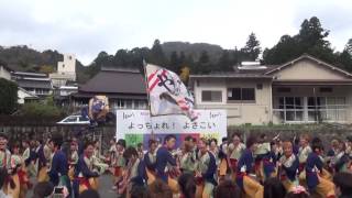 にしきふるさとまつり2016よっちょれよさこい　山口大学よさこいやっさん！！（中央ステージ会場）