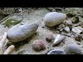 ancient habitation shelter arroyo seco monterey county california