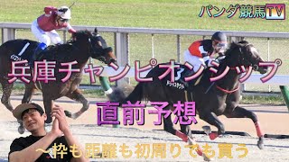 【兵庫チャンピオンシップ 2022】直前予想〜パンダ競馬TV始まって以来の人気ど本命馬券か？